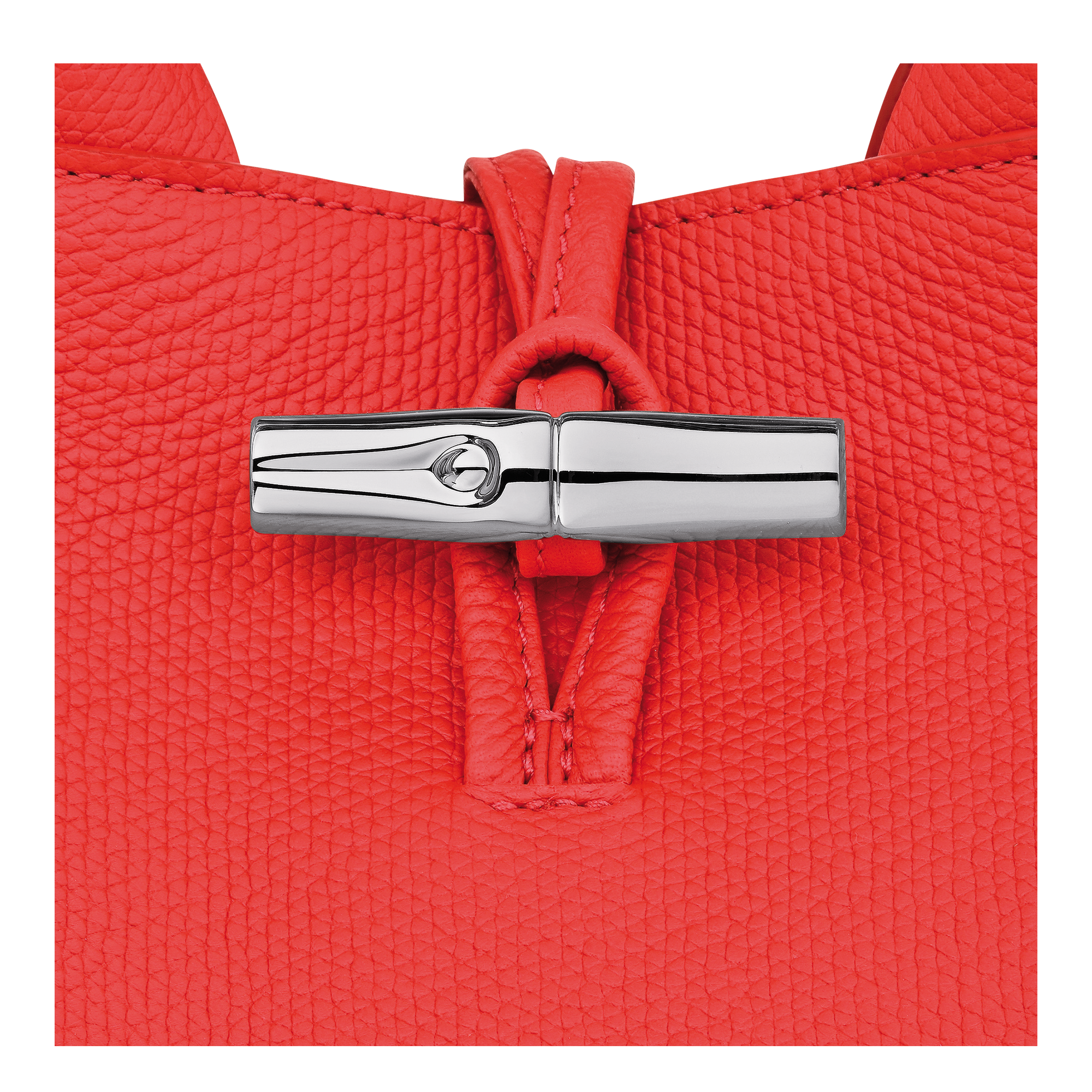Le Roseau S Handbag