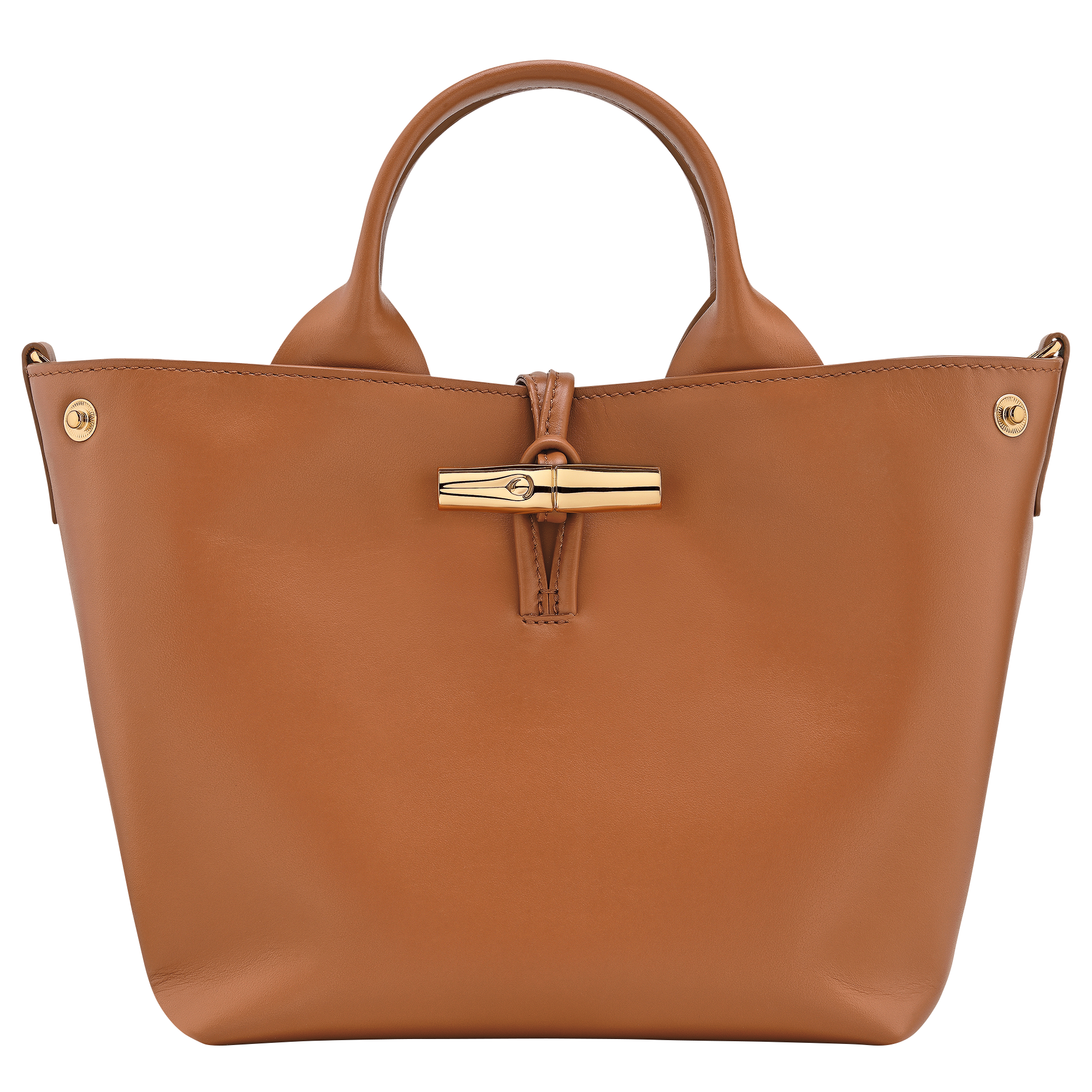 Le Roseau S Handbag